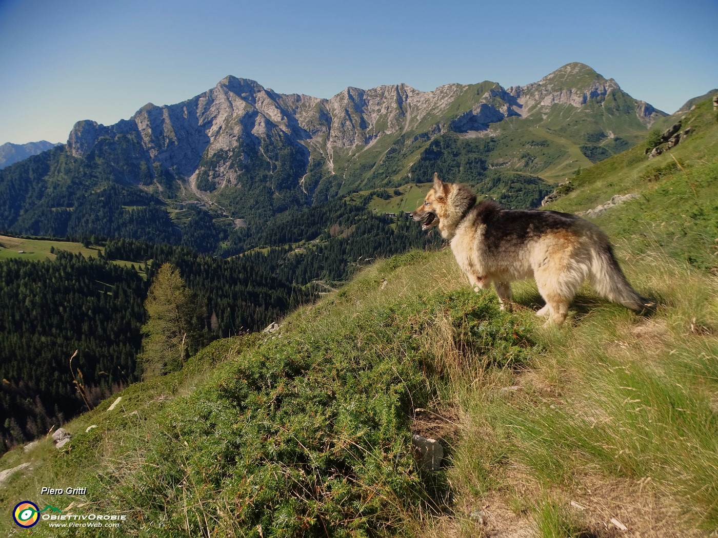 14 Da sx Pegherolo (2369 m) , Cavallo  (2323 m).JPG